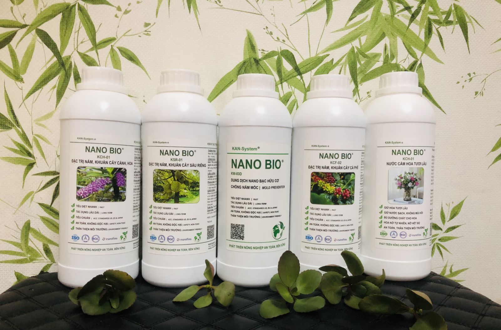 NANO BIO: ĐẶC TRỊ & phòng chống bệnh do nấm, vi khuẩn gây bệnh cho cây Xoài