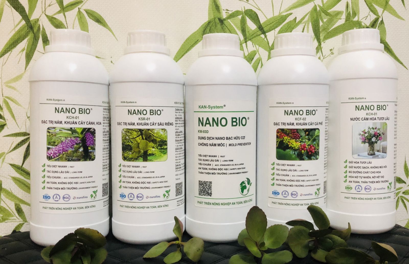 NANO BIO: ĐẶC TRỊ & phòng chống bệnh do nấm, vi khuẩn gây bệnh cho cây Hồ Tiêu